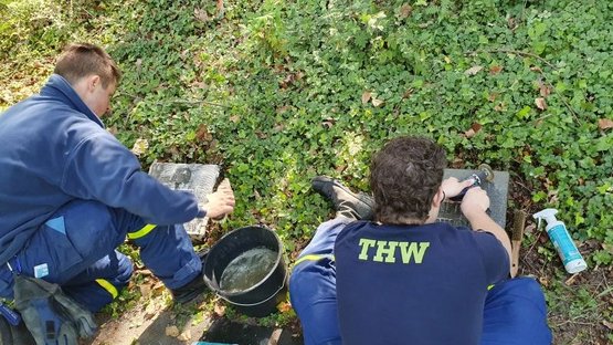 Auf dem Foto sitzen zwei Jugendliche vor zwei Kriegsgräbern. Mit einem Pflegemittel sowie einer Bürste schrubben sie die Grabplatten im Rasen. Von Ihnen sind lediglich die Rücken und bei einem Jungen die große gelbe Aufschrift „THW“ auf der dunklen T-Shirt-Rückseite zu erkennen.